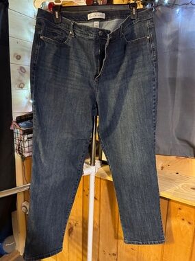 Gloria Vanderbilt Men's Indigo Slim Straight Jeans